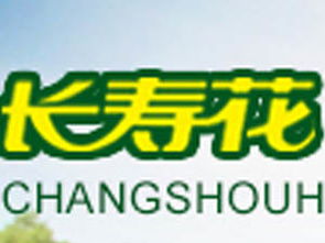 长寿花特级初榨橄榄油750ml箱装加盟批发指南